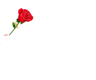 七排律·晚秋乡愁 作者:吴云钦（图8）