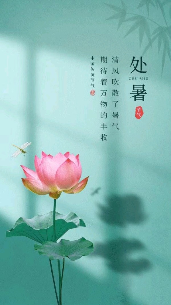〔诗歌专辑一〕文／芦国柱（江苏镇江【冰心文化传媒】（图16）