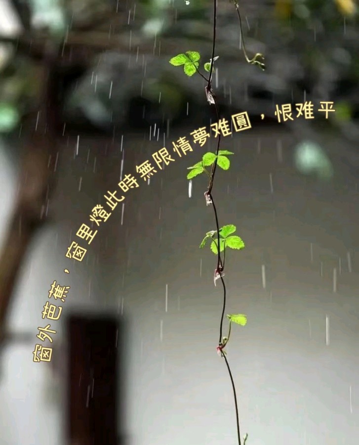 〔诗歌专辑一〕文／芦国柱（江苏镇江【冰心文化传媒】（图14）
