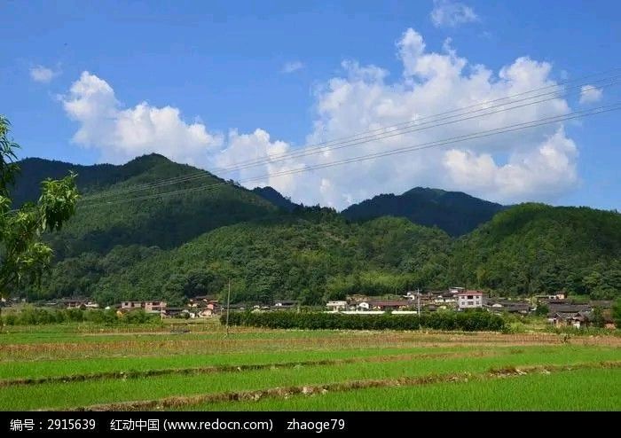 《现代诗四首》作者：风清【主播：金牌主播：英霞】【桃源国际诗歌集团】[桃源♬ 馨声]（图5）