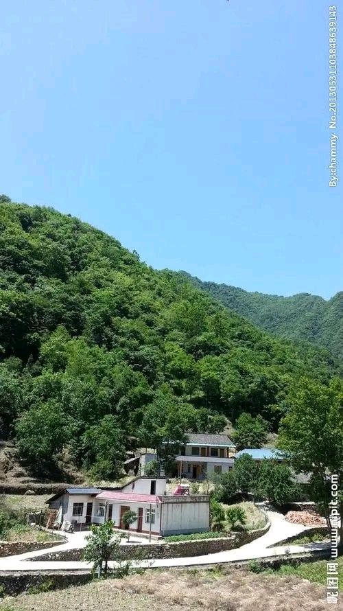 《现代诗四首》作者：风清【主播：金牌主播：英霞】【桃源国际诗歌集团】[桃源♬ 馨声]（图6）