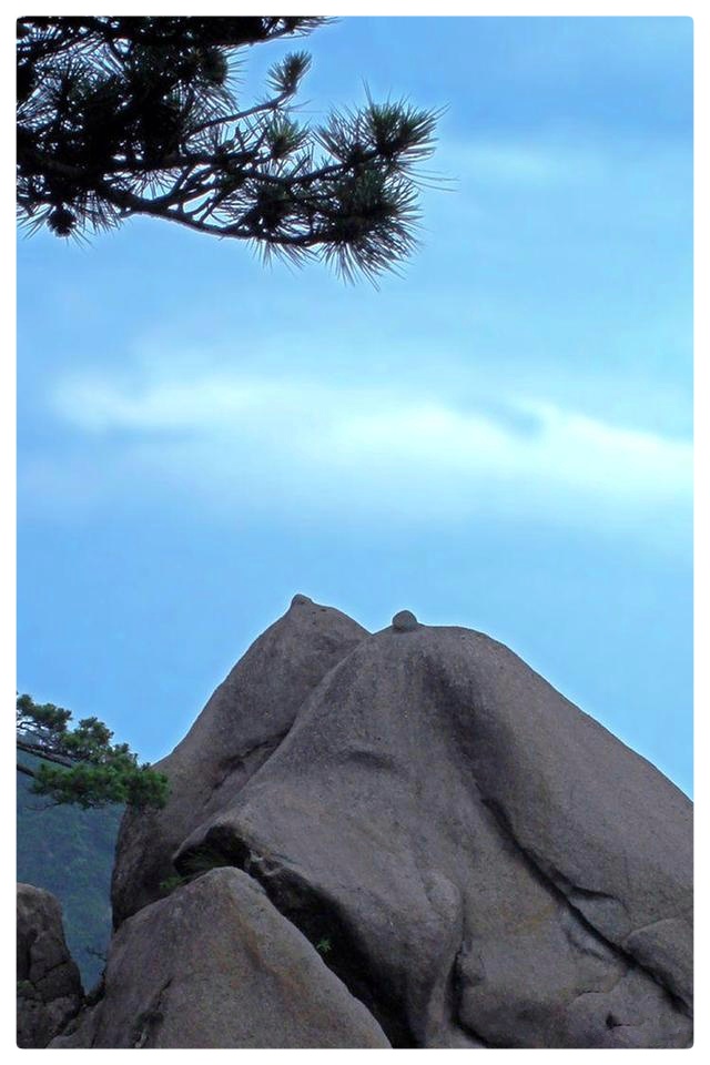 登 三 清 山∥作者：汪志成 诵读：老菩提（图4）