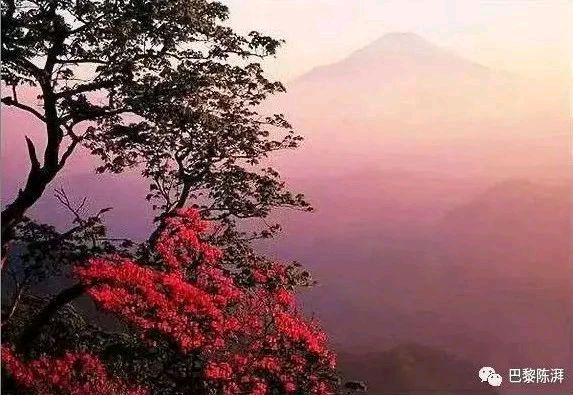 〔群英荟萃〕供稿 陈湃（巴黎）【冰心文化传媒】制作 冰心（中国）（图31）