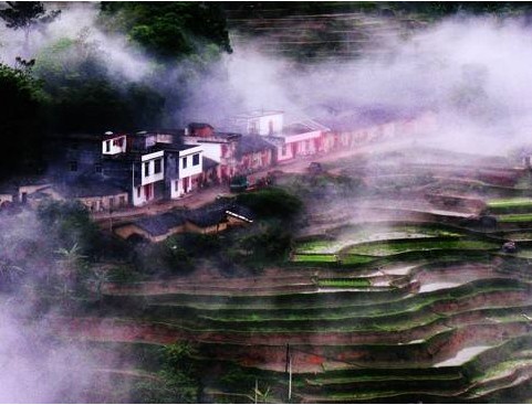 〔群英荟萃〕供稿 陈湃（巴黎）【冰心文化传媒】制作 冰心（中国）（图8）