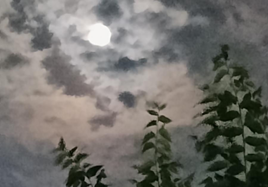 刘林丽诗歌作品188期《今夜的月亮没有失约》朗诵小丽花 编辑制作刘林丽(图3)