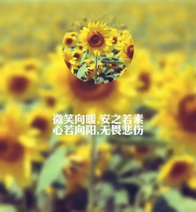 文盅诗歌《微笑》主播：安宁；编辑：小鱼儿 【北疆头条】（第289期）（图2）