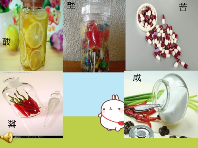 现代诗:生活,就是五味瓶 作者:诗缘