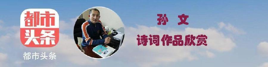 中华诗艺龙江分社推介/孙文:步韵赵日新老师《小家三岁写感言》(外一首)【原创】（图4）