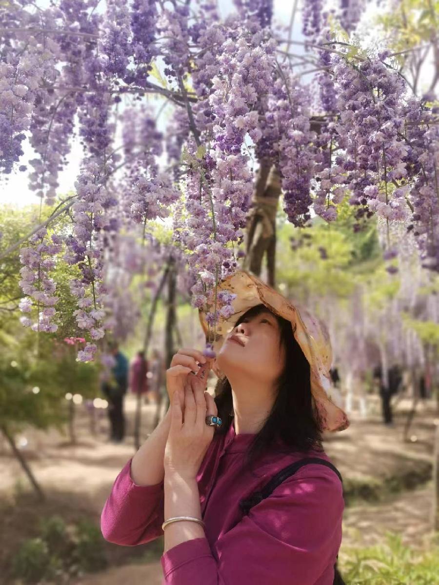 【花朝清韵】第四十三期《陈凤鸣作品选辑》(图2)