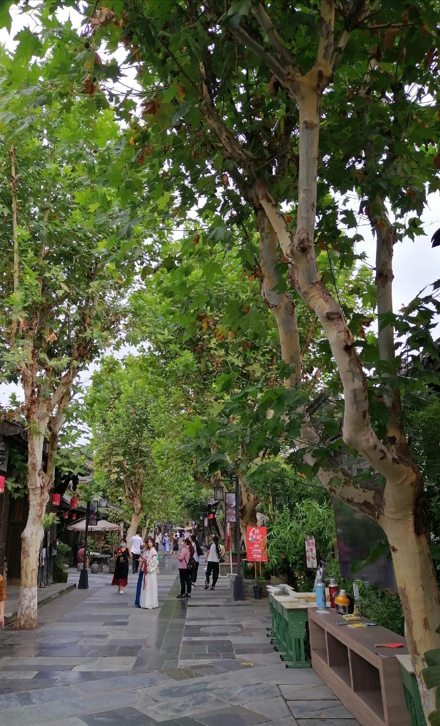 宽窄巷(打油诗)文/江冲(图6)
