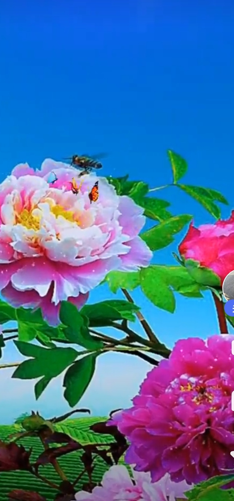 【北京头条】分享（农夫）唐行玉《八月之歌》外一首请欣赏（图9）