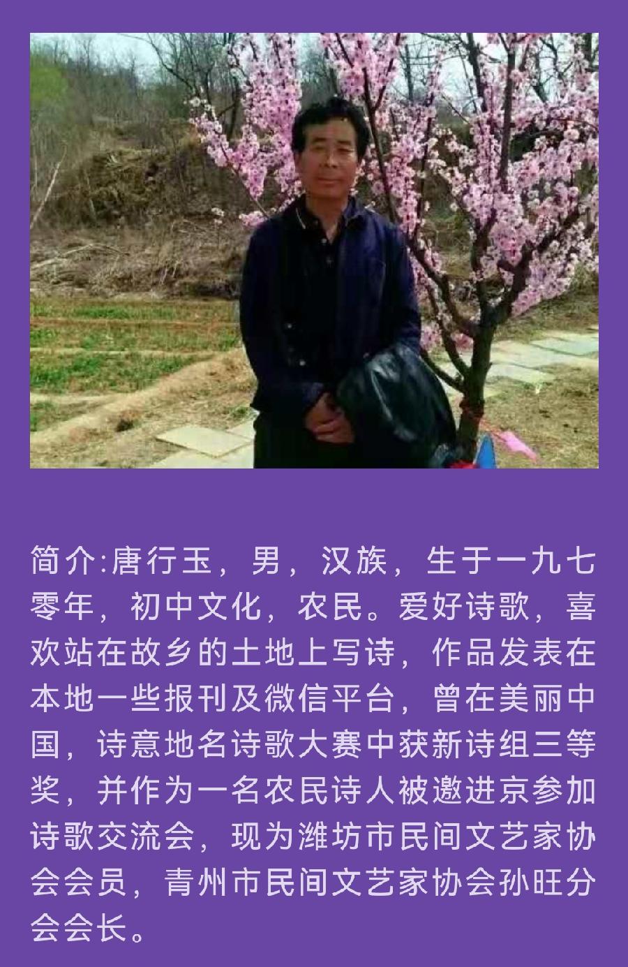 【北京头条】分享（农夫）唐行玉《八月之歌》外一首请欣赏（图8）