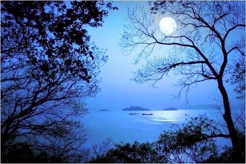 邀月吟（图6）