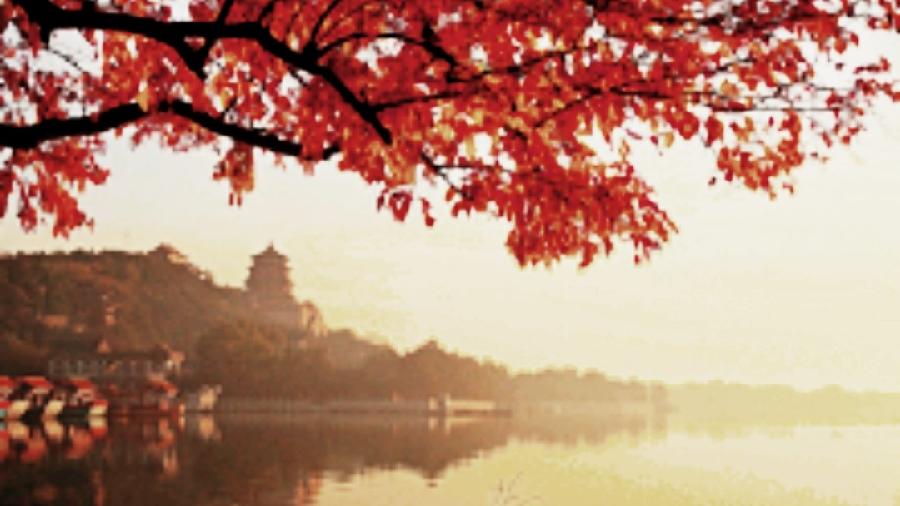 《有声文学》《九江文学社》《南湖秋晨曲》作者/董琦 金牌主播/慧贤（图4）