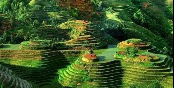马衙采风(江琼)(图4)