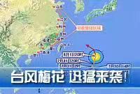 水仙子-“梅花”两度登陆军民昼夜守城* 文/冯志清〔上海〕【冰心文化传媒】（图4）