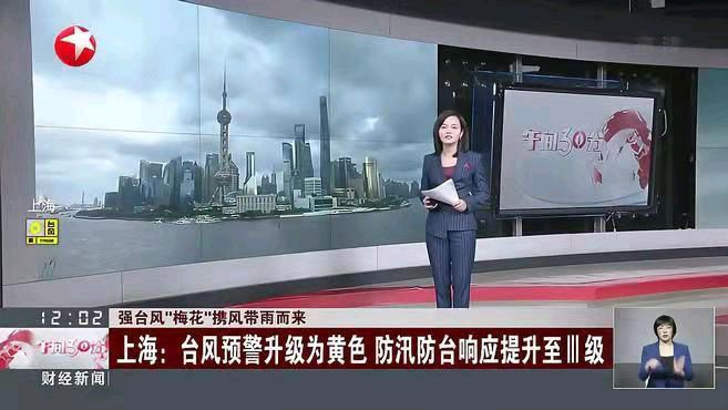 水仙子-“梅花”两度登陆军民昼夜守城* 文/冯志清〔上海〕【冰心文化传媒】（图3）