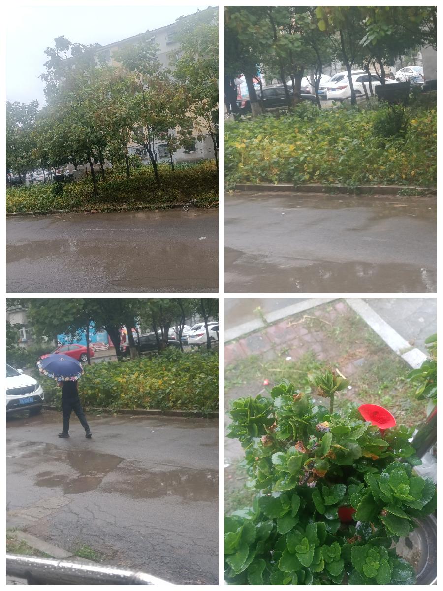 雨天所盼