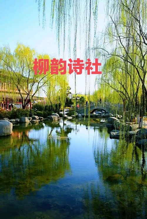 第四期,柳韵诗社每日古诗诵读并步韵(14)