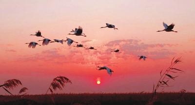 马玉会老师诗词欣赏（图2）