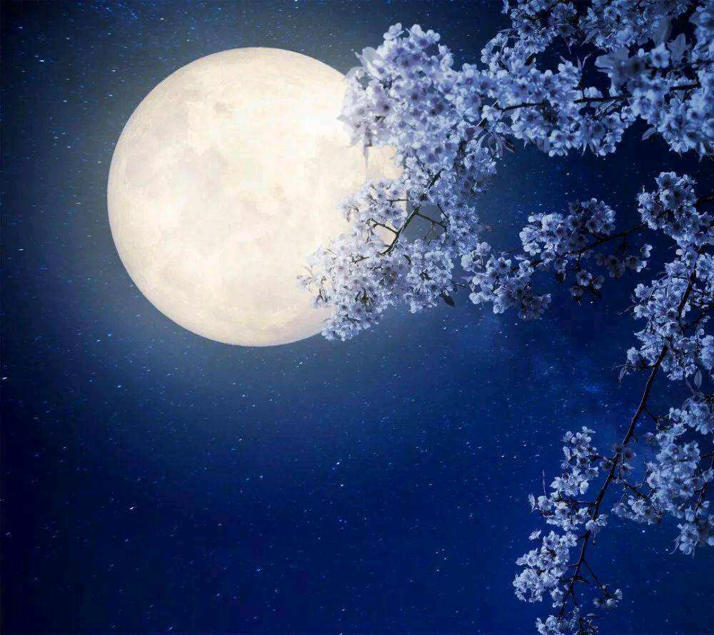 〔诗歌小辑〕文/无言（新疆）【冰心文化传媒】（图5）