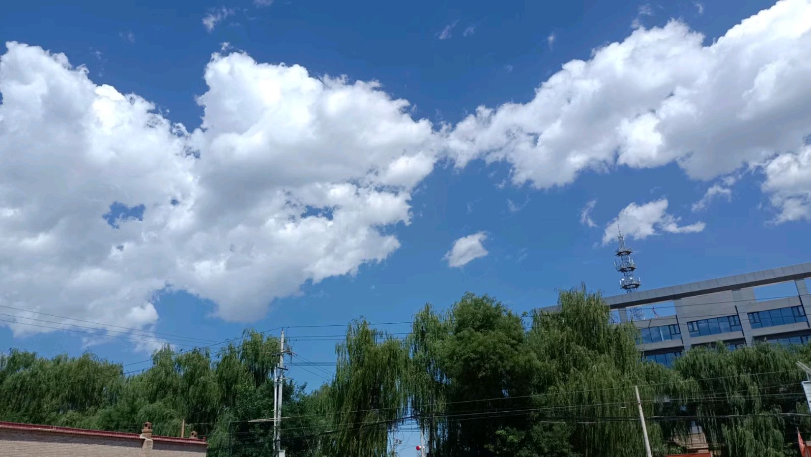 〔诗歌小辑〕作者 红叶（甘肃庆阳）【冰心文化传媒】（图8）