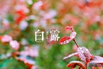 【经典推荐】”农民诗人”曹南强//鹧鸪天•喜迎二十大系列作品展｛二十八首｝（图7）