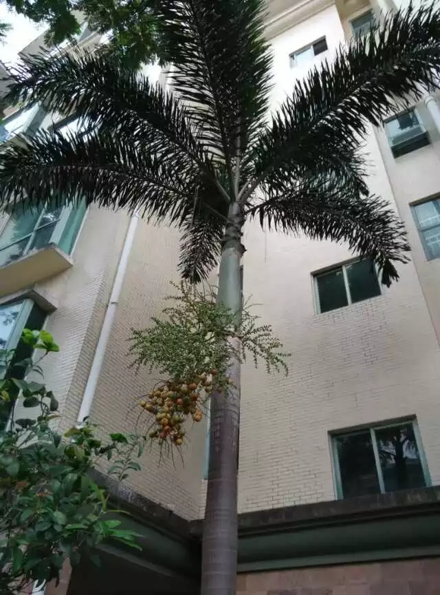名人诗典,李建明(图4)