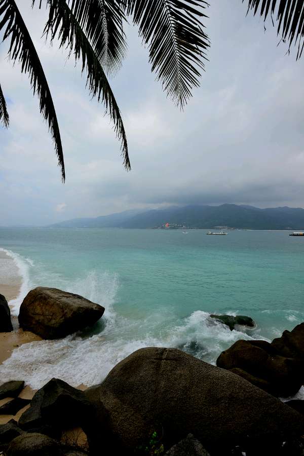 先锋诗派海南分会专刊【仿古体新诗】风声雨声读书声 辽宁/风和日丽 京津沪头条（图2）