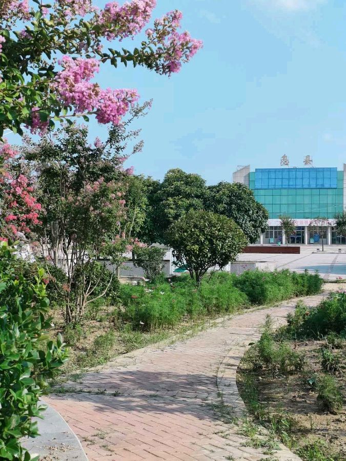 《时间的债》作者:天问【主播:金牌主播：梦醒群岚】【桃源国际诗歌集团】[桃源♬ 馨声]（图4）