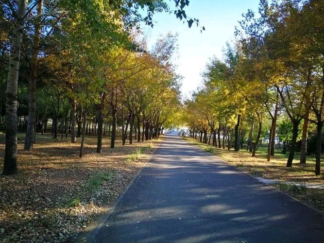 《时间的债》作者:天问【主播:金牌主播：梦醒群岚】【桃源国际诗歌集团】[桃源♬ 馨声]（图5）