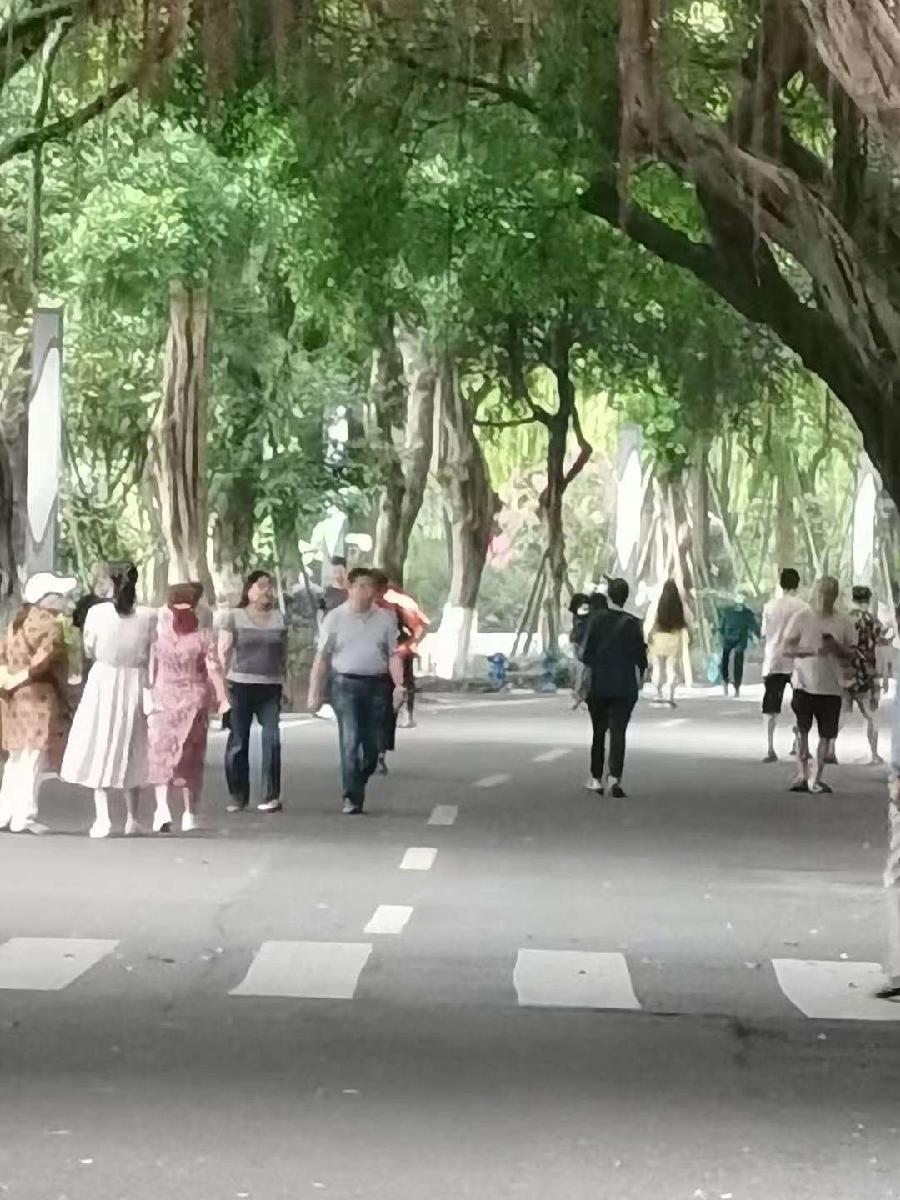 中华诗艺龙江分社推介/胡旭光:最美的风景！最美的人！ ​——最爱的自由行【原创】（图3）