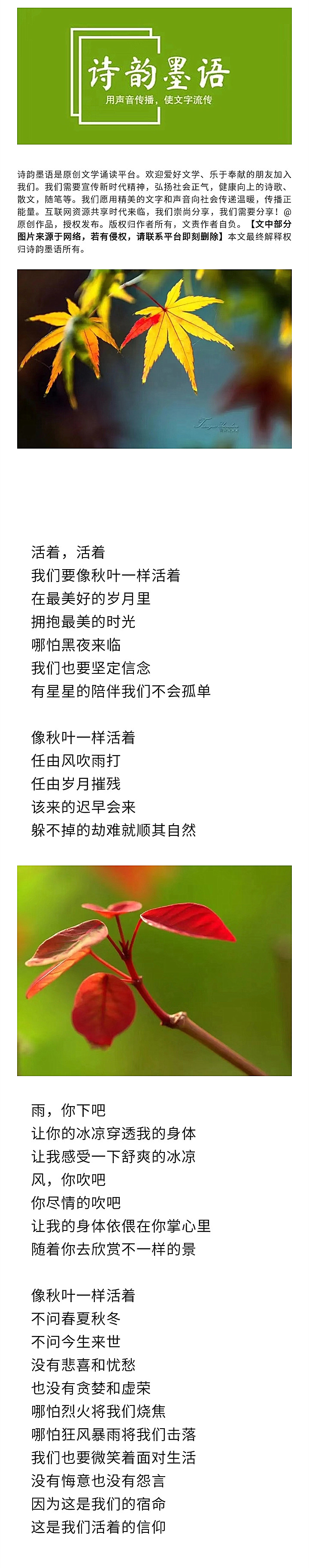 寰俊鍥剧墖_20220917195134.jpg