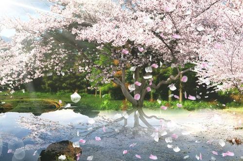 七绝•叹飞花 王世泽 北京（图2）