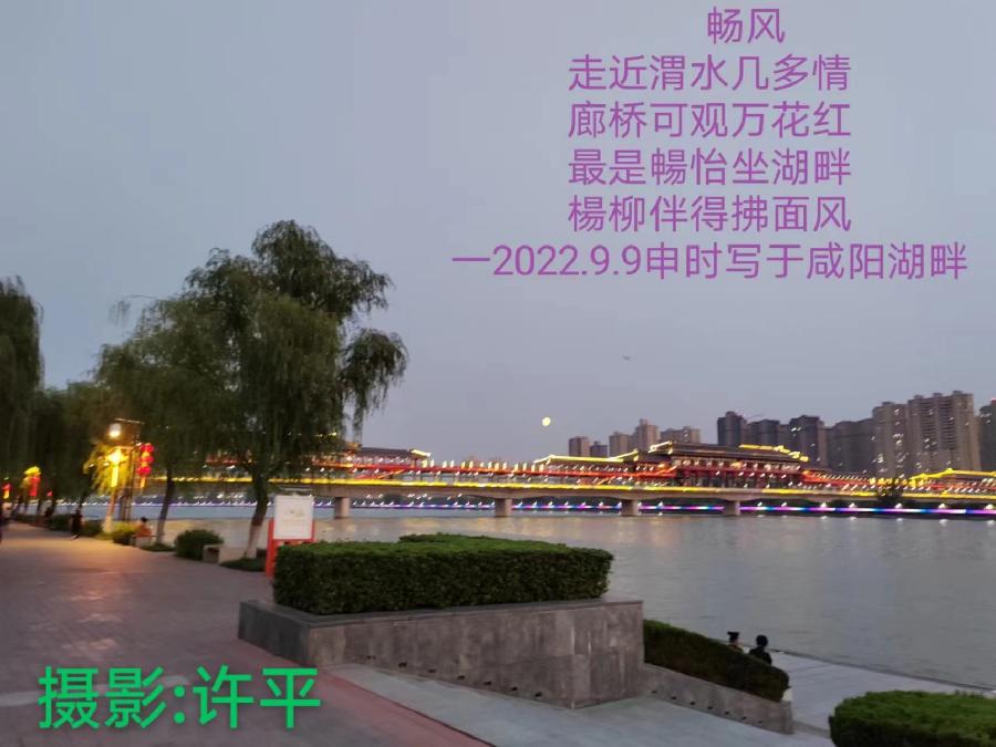 国风上海社《第十五期诗刊》—北京头条(图72)