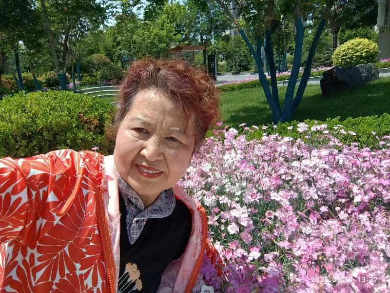 【雅诗总会】精美藏头诗《龙腾虎跃》(外六首)‖作者:白莲/腊梅(图3)