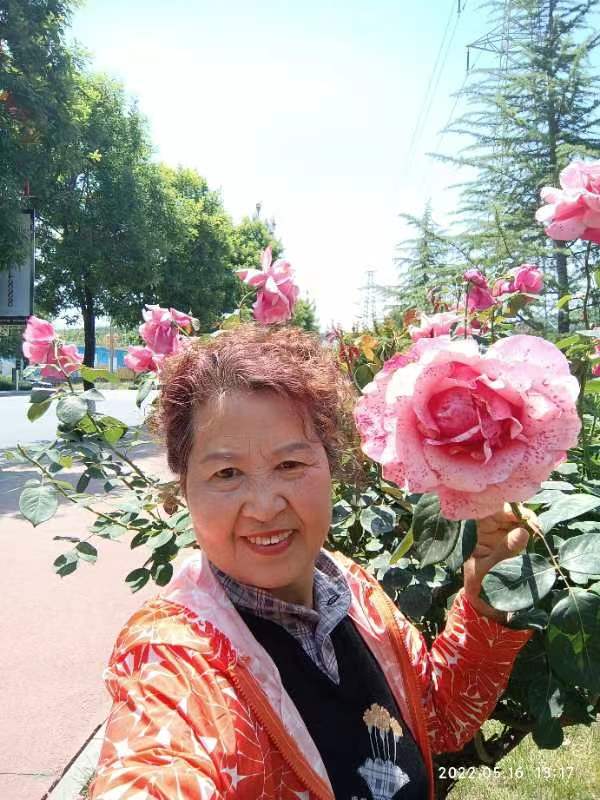 【雅诗总会】精美藏头诗《龙腾虎跃》(外六首)‖作者:白莲/腊梅(图4)