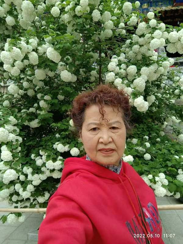 【雅诗总会】精美藏头诗《龙腾虎跃》(外六首)‖作者:白莲/腊梅(图8)