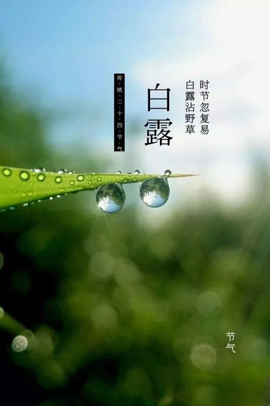 【潇湘文学社】潇湘如兰诗社《447期》(白露)(图5)