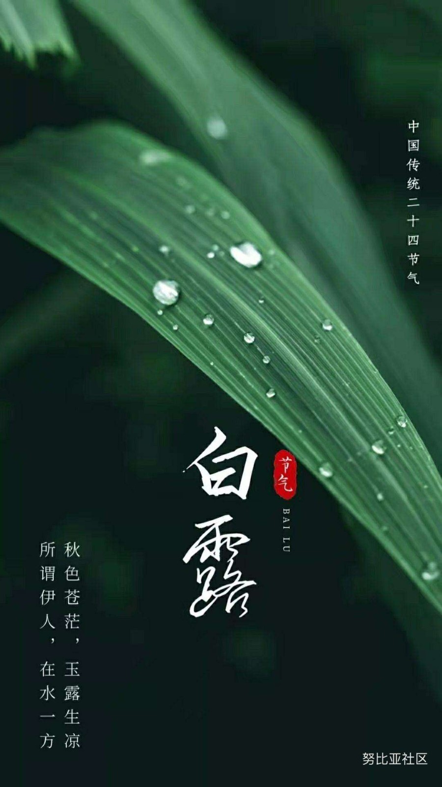 【潇湘文学社】潇湘如兰诗社《447期》(白露)(图7)
