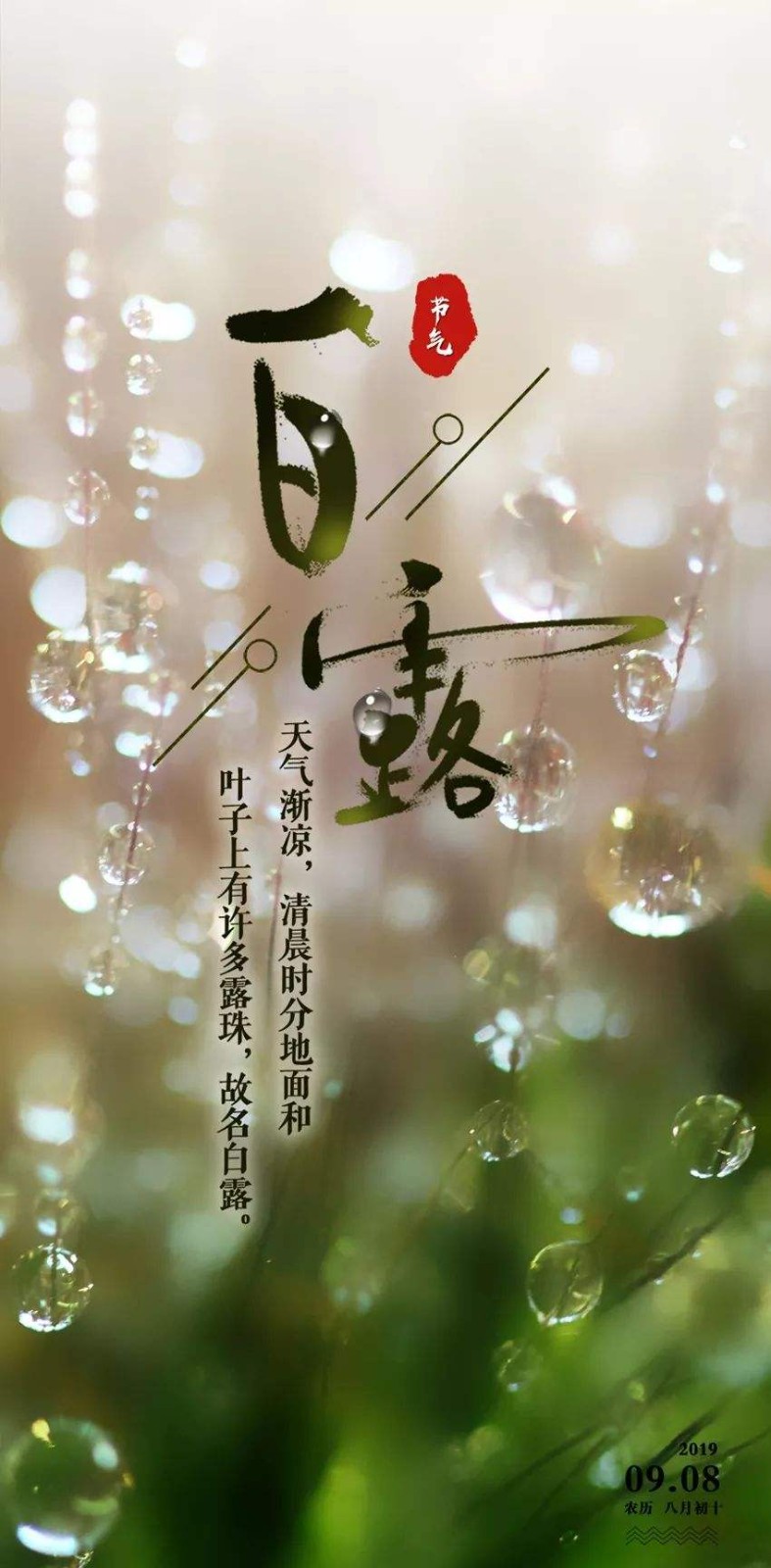 【潇湘文学社】潇湘如兰诗社《447期》(白露)(图9)