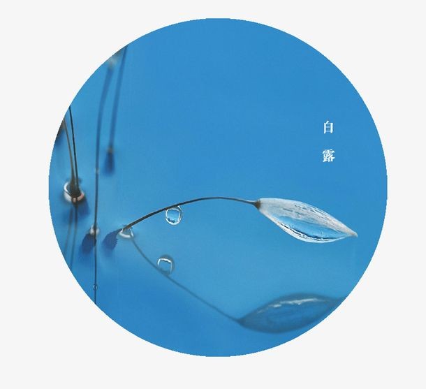【潇湘文学社】潇湘如兰诗社《447期》(白露)(图11)