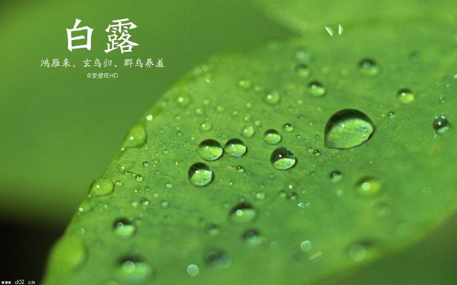 【潇湘文学社】潇湘如兰诗社《447期》(白露)(图13)