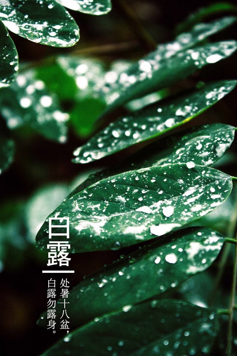【潇湘文学社】潇湘如兰诗社《447期》(白露)(图15)