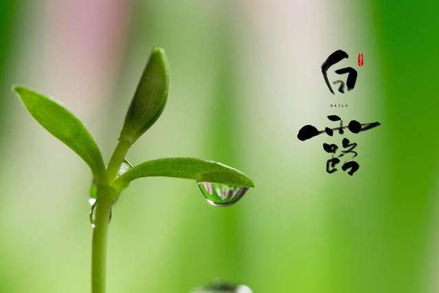 【潇湘文学社】潇湘如兰诗社《447期》(白露)(图17)