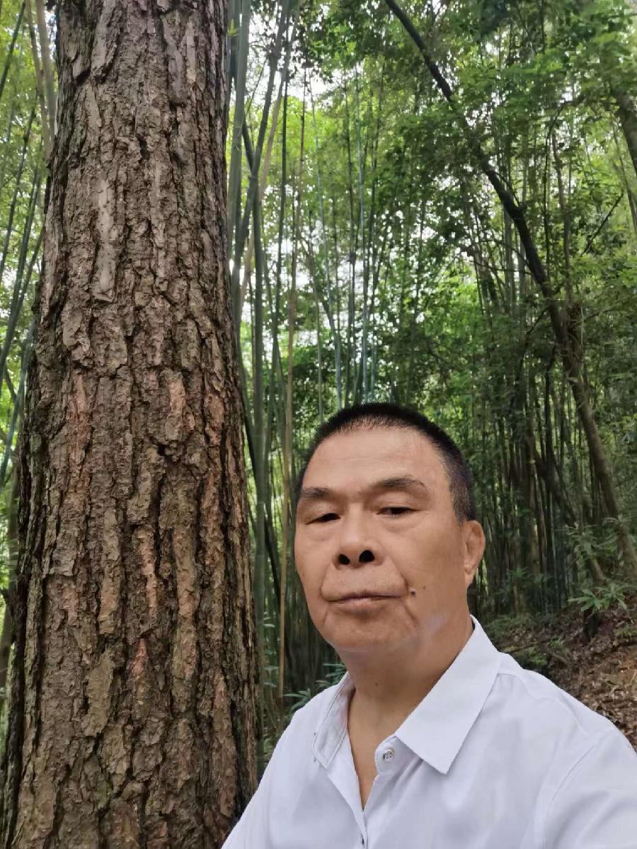 中华诗艺龙江分社推介/张国盛:《喜迎党的二十大，人民生活幸福感专题》第六集九十四/诗词七首（图3）