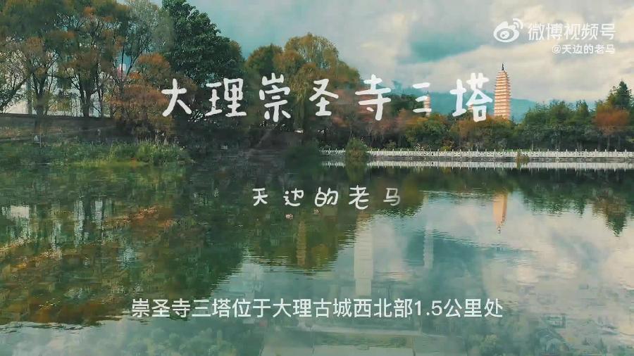 巴黎文学苏沪浙诗社007期微刊《大地芬芳别样红》（图20）