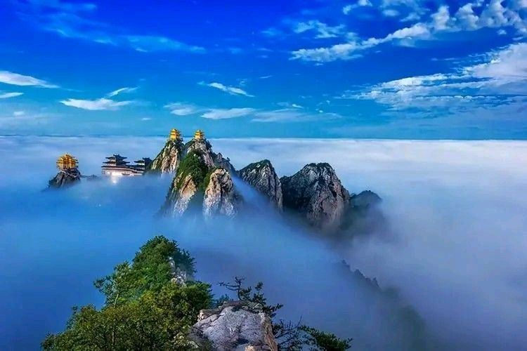 《墨非》作者：子楚【主播:金牌主播：涛声依旧】【8桃源国际诗歌集团】[桃源♬ 馨声]（图6）
