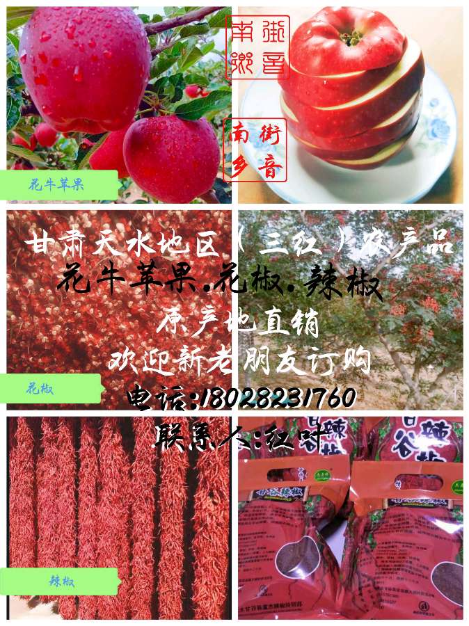 刘亚丽女士《渭水浅吟》读后感 ~余太明（图12）