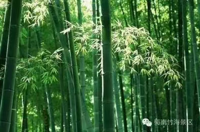 牢记″九.一八' (组诗30首)湖北 蓝天风(图3)
